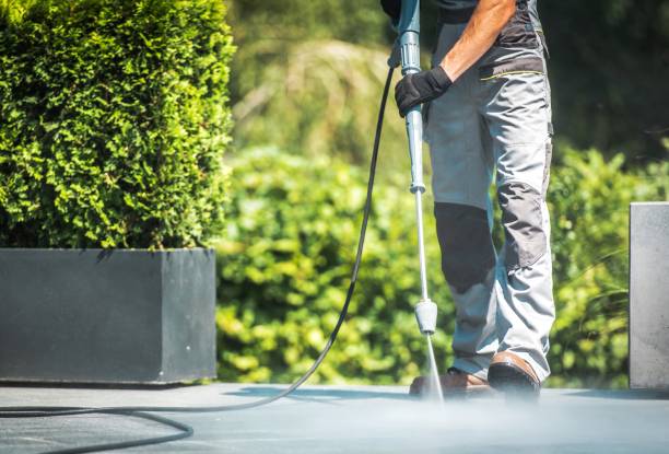 Best Spring Cleaning  in Elmore, OH
